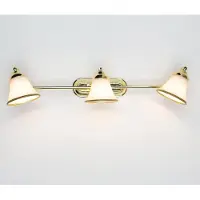 Licht-Erlebnisse Badlampe mit Schalter in Gold verstellbar
