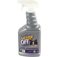 Urine Off Cat