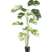 Creativ Green Kunstbaum "Monstera deliciosa variegata" mit grün-weißen Blättern