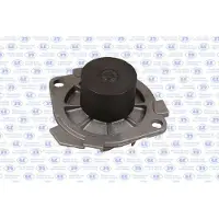 GK Wasserpumpe 985253