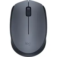 Logitech M171, Beidhändig, Optisch, RF Wireless, 1000 DPI, Schwarz, Grau