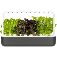 Click & Grow Click and Grow - Smart Garden 9 Starter kit (Color: Dark Gray) (SG9S8UNI)