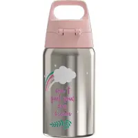 SIGG Isolierflasche Shield one Uni Skate 1 St