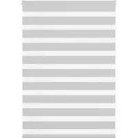 vidaXL Doppelrollo Hellgrau 100x100 cm Stoffbreite 95,9 cm Polyester