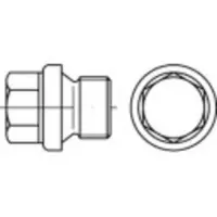 Toolcraft 112796 Låseskruer 1/8 Zoll Udvendig sekskant DIN 910 Stål 100 stk