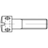 Toolcraft Toolcraft, Schrauben, Kreuzlochschrauben M5 30 mm Sc (100 Schrauben pro Stück)