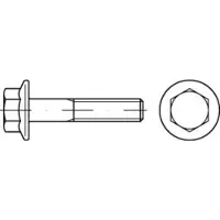 Toolcraft TO-5391393 Sechskantschraube M12 50 mm Außensechskant 100 St.