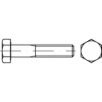 Toolcraft TO-5363931 Sechskantschraube M20 160 mm Außensechskant Edelstahl A2 1 St.