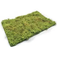 Mig Wilderness Fields with Bushes Spring 230x130mm