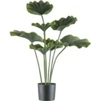 Pflanzen-Kölle Kunstpflanze Strahlenpalme, Höhe ca. 100 cm