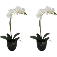 Creativ Green Kunstorchidee "Orchidee Phalaenopsis" mit täuschend echten Blüten