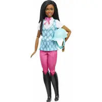 Barbie Mysteries: Das geheimnisvolle Pferdeabenteuer“ Brooklyn“ Puppe mit Reitkleidung und Zubehör, Modepuppe, Weiblich, 3 Jahr(e), Mädchen, 305 mm, 134 g