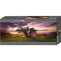 Heye Puzzle Edition Alexander von Humboldt Oak Tree. 2000 Teile