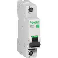 Schneider Electric C60SP Stromunterbrecher 1P