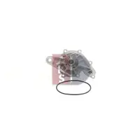 AKS Dasis Wasserpumpe 570406N