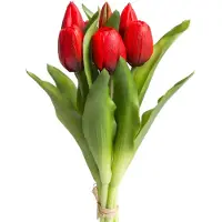Botanic-Haus Kunstblume "Willa" Tulpenbündel im 7er-Set