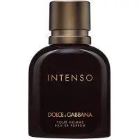 Dolce&Gabbana Intenso Pour Homme Eau de Parfum 125 ml Heren