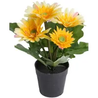 Botanic-Haus Kunstblume "Gerbera mit 5 Blüten"