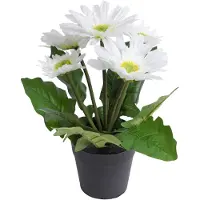 Botanic-Haus Kunstblume "Gerbera mit 5 Blüten"