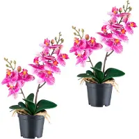 Creativ Green Kunstorchidee "Orchidee Phalaenopsis" mit real-touch-Blüten