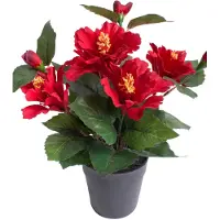 Botanic-Haus Kunstblume "Hibiskus im Topf"