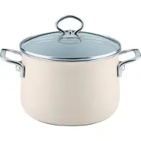 Riess Fleischtopf m.Glasd. 20cm,4L