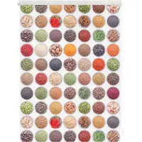 Lichtblick Rollo Klemmfix, ohne Bohren, blickdicht, Gewürze - Bunt Weiß 45 x 150 cm (B x L)