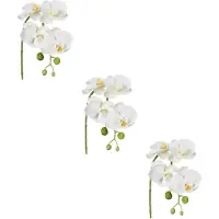 Creativ Green Kunstblume "Phalaenopsis 3D-print" mit Real-Touch-Blüten