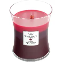 Woodwick Sun Ripened Berries Duftkerze 0,275 kg