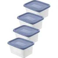 Rotho Gefrierdosen-Set Domino 4 x 0,75 l horizon blau
