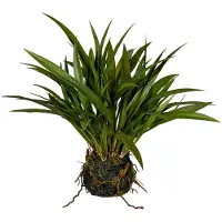 Creativ Green Kunstgras "Grasbusch Miscanthus im Moosballen"
