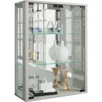 VCM Wandregal "Wandvitrine Hängevitrine Glasvitrine Udina Spiegel", silber, B:60cm T:25cm, Regale, Wandregal