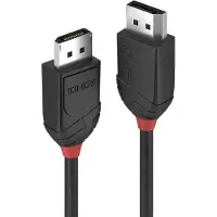 Lindy DisplayPort — DisplayPort