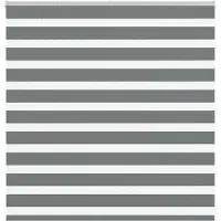 vidaXL Doppelrollo Dunkelgrau 145x100 cm Stoffbreite 140,9 cm Polyester