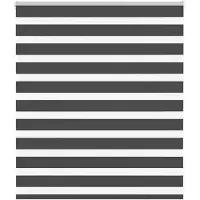vidaXL Doppelrollo Schwarz 125x100 cm Stoffbreite 120,9 cm Polyester