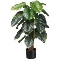 Pflanzen-Kölle Künstlicher Philodendron scandens, Höhe ca. 90 cm