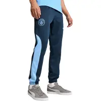 Puma Manchester City Fc Ftnlnrgy+ Trainingshose
