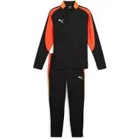 Puma Herren Sportanzug IndividualLIGA Tracksuit
