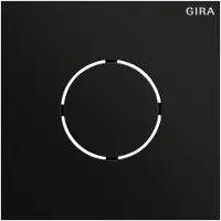 Gira Frontplatte