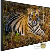 Papermoon Infrarotheizung "Tiger" sehr angenehme Strahlungswärme