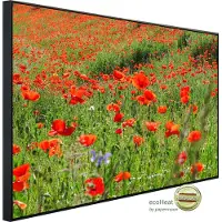 Papermoon Infrarotheizung "Red Poppa Field" sehr angenehme Strahlungswärme