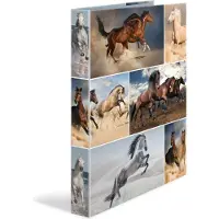 Herma Ringbuch A4 Motiv