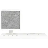 Tivoli Audio Revive, Kabellos, Tragbarer Mono-Lautsprecher, Grau, Weiß, Universal, Integrierte Batterie, 1,45 kg