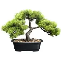 Pflanzen-Kölle Künstlicher Bonsai Kiefer, Höhe ca. 30 cm