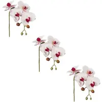 Creativ Green Kunstblume "Phalaenopsis 3D-print" mit Real-Touch-Blüten