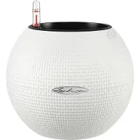 Lechuza Puro Color 20