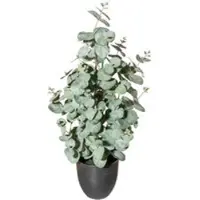 Pflanzen-Kölle Künstlicher Eukalyptus, grüngrau, Höhe ca. 60 cm