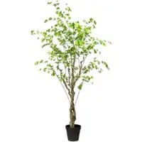 Pflanzen-Kölle Kunstpflanze Louisiana-Baum, Höhe ca. 240 cm