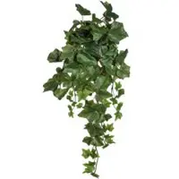 Pflanzen-Kölle Kunstpflanze Englischer Efeuhänger, 3er-Set, Höhe ca. 45 cm