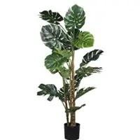 Pflanzen-Kölle Künstlicher Splitphilodendron, Höhe ca. 160 cm